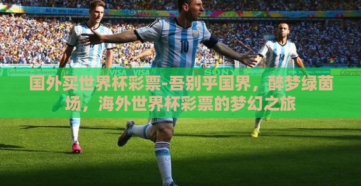 国外买世界杯彩票-吾别乎国界，醉梦绿茵场，海外世界杯彩票的梦幻之旅