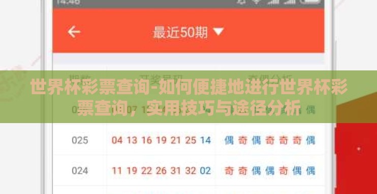 世界杯彩票查询-如何便捷地进行世界杯彩票查询，实用技巧与途径分析