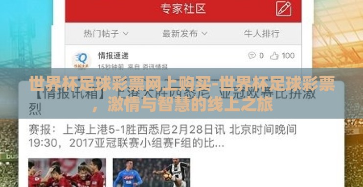 世界杯足球彩票网上购买-世界杯足球彩票，激情与智慧的线上之旅