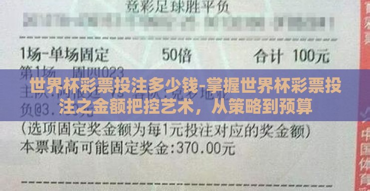 世界杯彩票投注多少钱-掌握世界杯彩票投注之金额把控艺术，从策略到预算