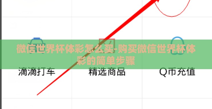 微信世界杯体彩怎么买-购买微信世界杯体彩的简单步骤