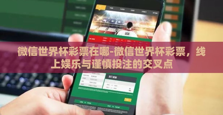 微信世界杯彩票在哪-微信世界杯彩票，线上娱乐与谨慎投注的交叉点