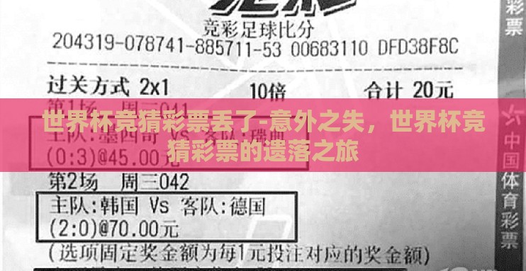 世界杯竞猜彩票丢了-意外之失，世界杯竞猜彩票的遗落之旅