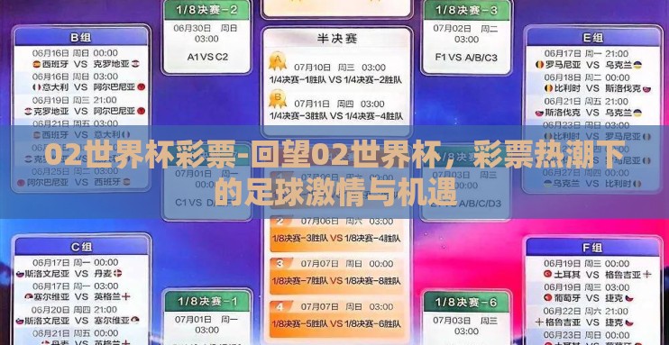 02世界杯彩票-回望02世界杯，彩票热潮下的足球激情与机遇