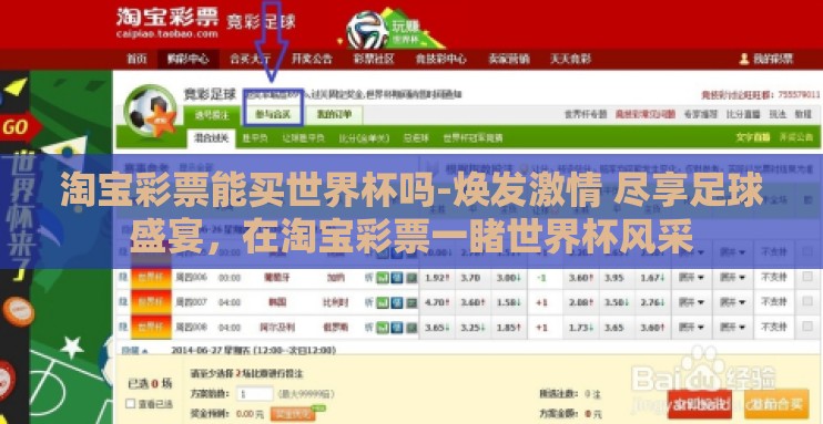 淘宝彩票能买世界杯吗-焕发激情 尽享足球盛宴，在淘宝彩票一睹世界杯风采