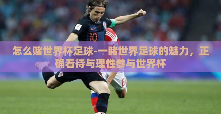 怎么赌世界杯足球-一睹世界足球的魅力，正确看待与理性参与世界杯