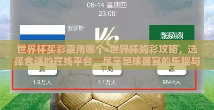 世界杯买彩票用哪个-世界杯购彩攻略，选择合适的在线平台，尽享足球盛宴的乐趣与期待