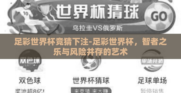 足彩世界杯竞猜下注-足彩世界杯，智者之乐与风险并存的艺术