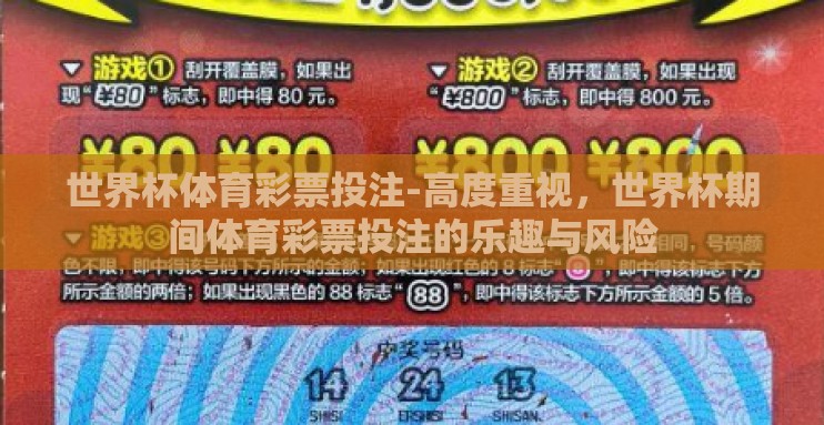世界杯体育彩票投注-高度重视，世界杯期间体育彩票投注的乐趣与风险