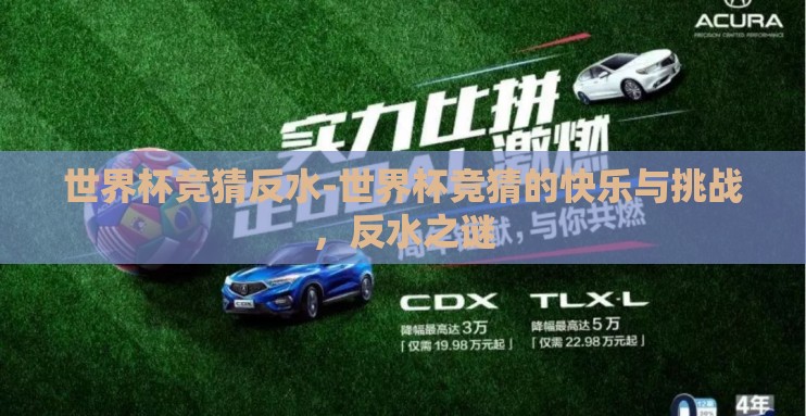 世界杯竞猜反水-世界杯竞猜的快乐与挑战，反水之谜