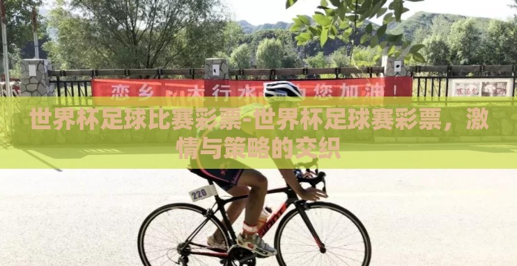 世界杯足球比赛彩票-世界杯足球赛彩票，激情与策略的交织