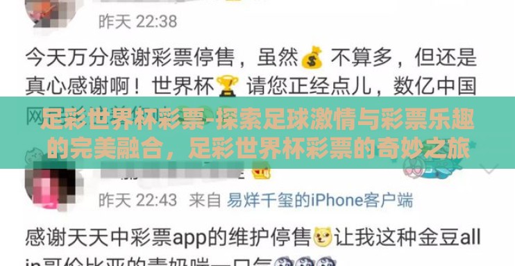 足彩世界杯彩票-探索足球激情与彩票乐趣的完美融合，足彩世界杯彩票的奇妙之旅