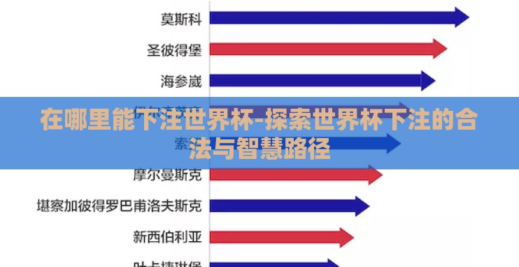 在哪里能下注世界杯-探索世界杯下注的合法与智慧路径