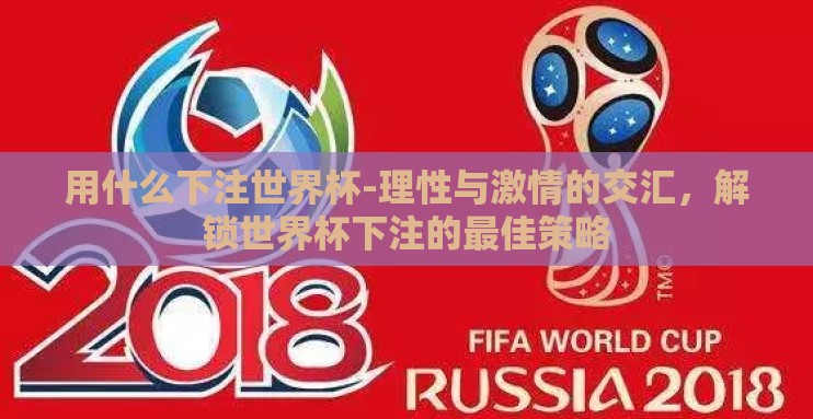用什么下注世界杯-理性与激情的交汇，解锁世界杯下注的最佳策略