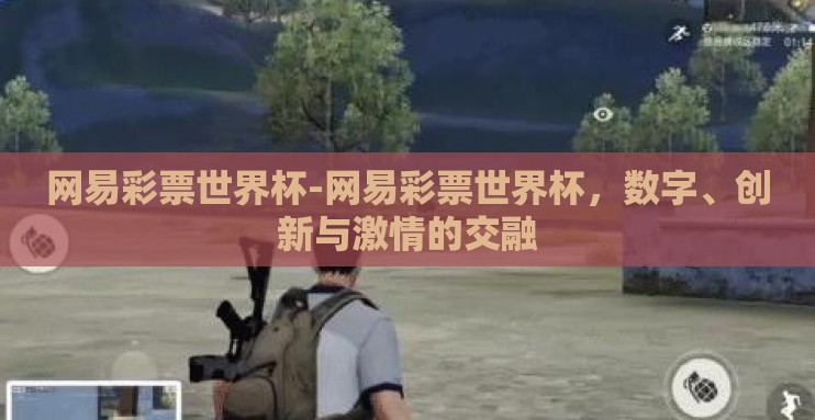 网易彩票世界杯-网易彩票世界杯，数字、创新与激情的交融